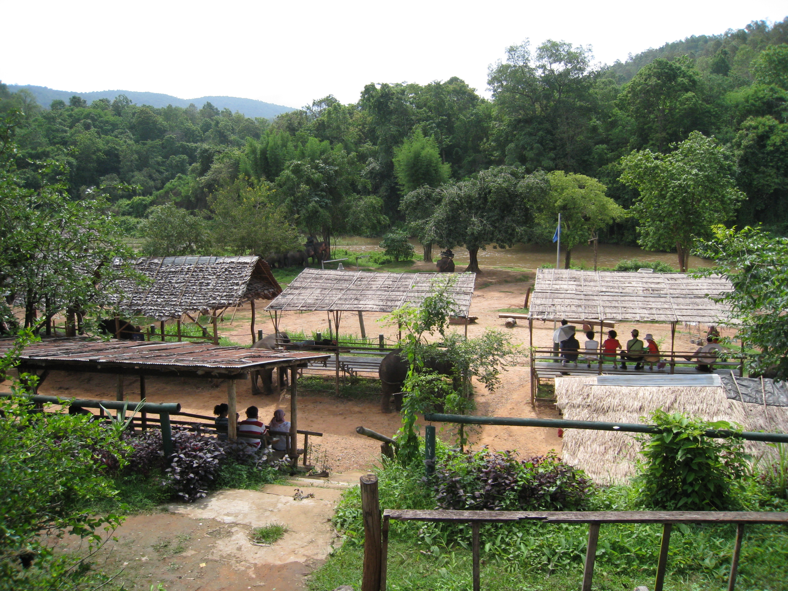 http://img4info.modetour.com/108/DONGNAMA/PAKAGE1/CHIANGMAI/elephantschool.jpg