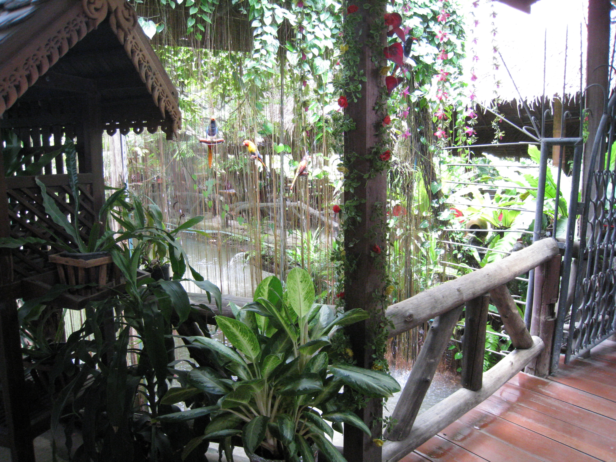 http://img4info.modetour.com/108/DONGNAMA/PAKAGE1/CHIANGMAI/orchidfarm1.jpg